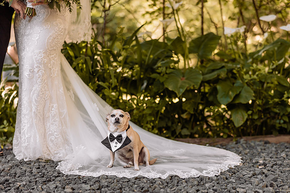 Sham-Carly-Wedding-North Bend-Oregon-photos=2022 (94 of 159)