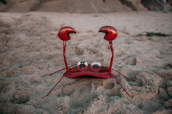 Red-Crab-Rentals-2025-Oregon (40 of 57)