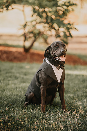 Derek-MacKenzie-Navarra-Gardens-Wedding-Oredon-Photos (163 of 177)