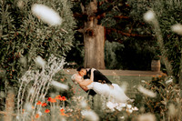 Lorenzo-Chanell-Adeline-Farms-Wedding-Photos (105 of 124)