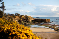 cole-jenn-suprise-proposal-otter-crest-beach-depoe-bay-oregon-photos-6233