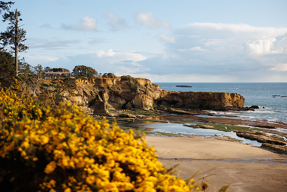 cole-jenn-suprise-proposal-otter-crest-beach-depoe-bay-oregon-photos-6233