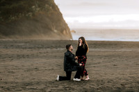 Drake & Kennedy Surprise Proposal Neskowin OREGON