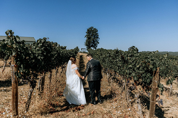 David-Kayla-Wedding-Photos- (1 of 46)