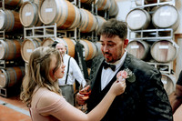 David-Kayla-Wedding-Photos- (2 of 107)
