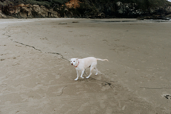 Scott-Linda-Depoe-bay-Oregon-Engagement-Photos (1 of 93)