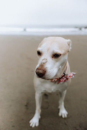Scott-Linda-Depoe-bay-Oregon-Engagement-Photos (60 of 93)