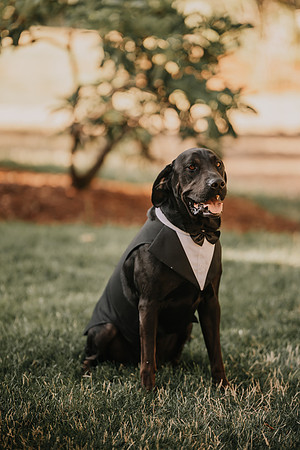 Derek-MacKenzie-Navarra-Gardens-Wedding-Oredon-Photos (36 of 177)