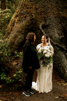 Trent-Elopement-Photos (12 of 100)