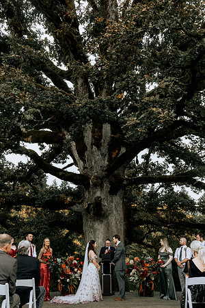 Taylor-Conner-Adeline-Farms-Wedding-Photos (35 of 69)