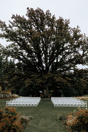 Taylor-Conner-Adeline-Farms-Wedding-Photos (24 of 57)