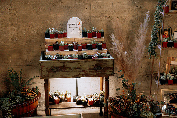 Taylor-Conner-Adeline-Farms-Wedding-Photos (28 of 57)