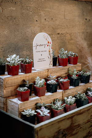 Taylor-Conner-Adeline-Farms-Wedding-Photos (29 of 57)