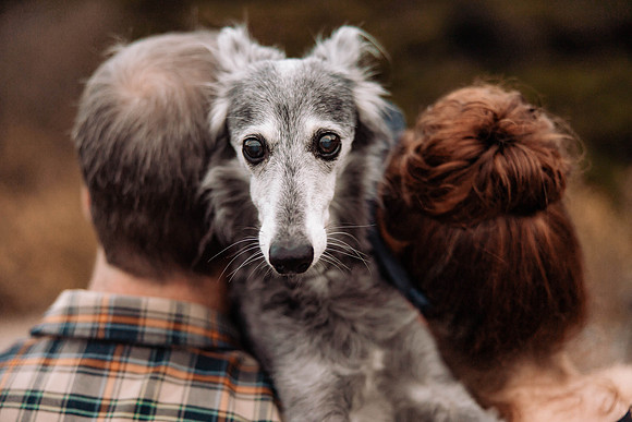 Ashley-Pepper-Pet-Family-Photos-2022-Oregon-1796