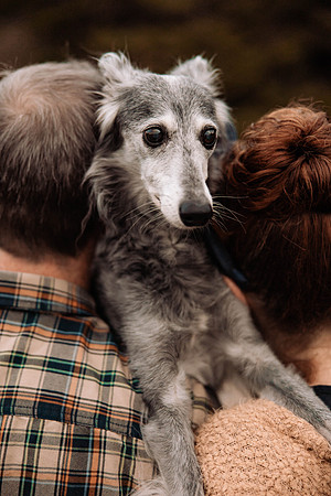 Ashley-Pepper-Pet-Family-Photos-2022-Oregon-1794
