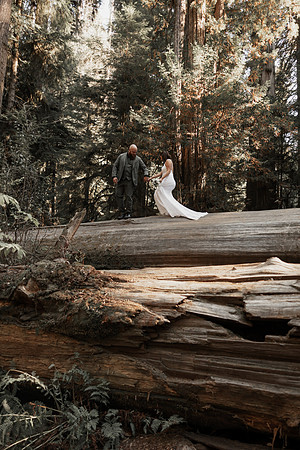 Gray-Ericka-Brookings-elopement-70