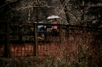 Colton-Fogarty-Creek-Surprise-proposal-Oregon-Photos-Depoe-Bay (54 of 67)