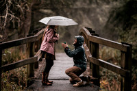 Colton-Fogarty-Creek-Surprise-proposal-Oregon-Photos-Depoe-Bay (58 of 67)