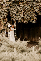 micheala-alex (4 of 6)