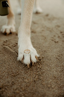 Scott-Felicia-Engagement-Neskowin-oregon-Photos (30 of 50)