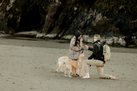 Scott-Felicia-Engagement-Neskowin-oregon-Photos (49 of 50)