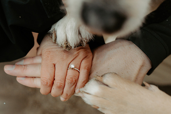 Scott-Felicia-Engagement-Neskowin-oregon-Photos (1 of 2)