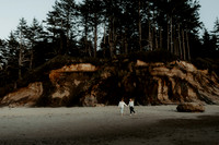 Jessica-Geovanni-Engagement-Photos-Fogarty-Creek-Oregon (83 of 93)