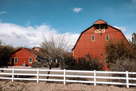 Dakota-jordan-Windmill-winery-Florence-Arizona-wedding-2023-photos-5493