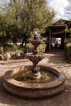 Dakota-jordan-Windmill-winery-Florence-Arizona-wedding-2023-photos-5501