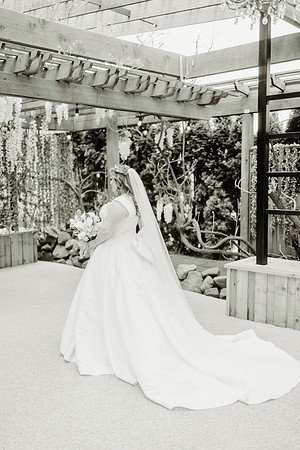 christian-mackenzie-wedding-photos (61 of 504)
