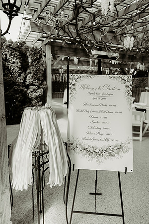 christian-mackenzie-wedding-photos (6 of 504)