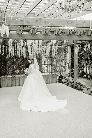 christian-mackenzie-wedding-photos (64 of 504)
