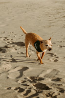 Irlanda-Family-Photos-Rockaway-Oregon-2026 (23 of 82)