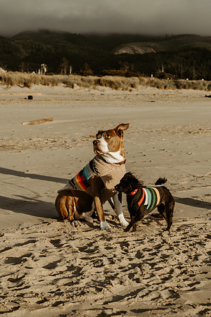 Irlanda-Family-Photos-Rockaway-Oregon-2026 (39 of 82)