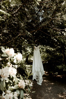 Details- (7 of 36)