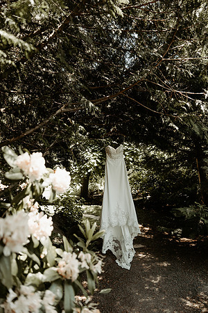 Details- (7 of 36)