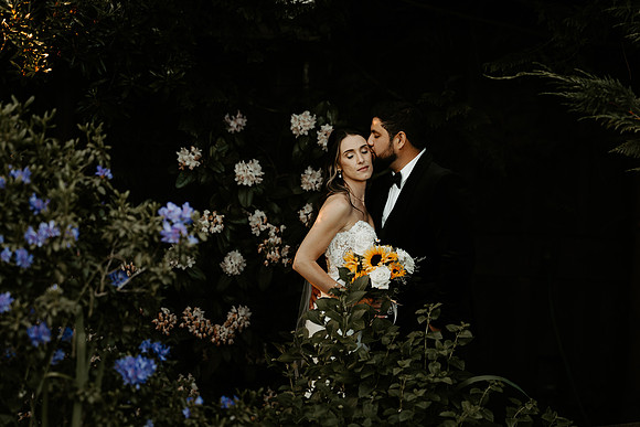 Brianna-Natalio-Wedding-Portraits-Oregon (16 of 65)