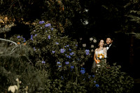 Brianna-Natalio-Wedding-Portraits-Oregon (13 of 65)