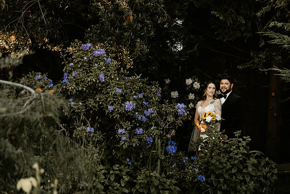 Brianna-Natalio-Wedding-Portraits-Oregon (13 of 65)