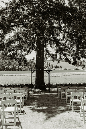 First Look Family Portraits (25 of 460)
