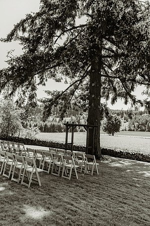 First Look Family Portraits (26 of 460)