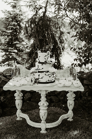 First Look Family Portraits (32 of 460)