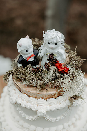 Jeremy-Kaley-Seal-Rock-Waldport-Intimate-Wweddin-Photos-Oregon (136 of 189)