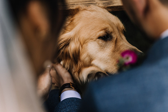 Jared-Ashley-Crooks-Point-Secret-Beach-Oregon-Wedding-62