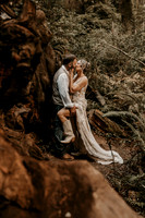 Lee-Tamara-Capella-By-the-Sea-Brookings-Redwoods-Elopement-Photos-Oregon (177 of 267)