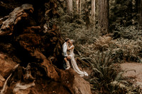 Lee-Tamara-Capella-By-the-Sea-Brookings-Redwoods-Elopement-Photos-Oregon (182 of 267)