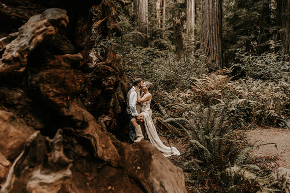 Lee-Tamara-Capella-By-the-Sea-Brookings-Redwoods-Elopement-Photos-Oregon (182 of 267)
