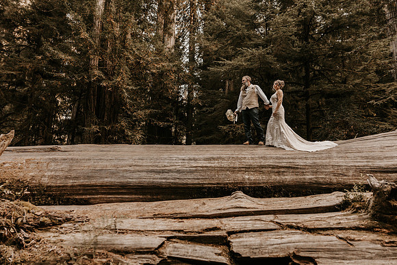 Lee-Tamara-Capella-By-the-Sea-Brookings-Redwoods-Elopement-Photos-Oregon (144 of 267)
