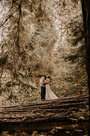 Lee-Tamara-Capella-By-the-Sea-Brookings-Redwoods-Elopement-Photos-Oregon (174 of 267)