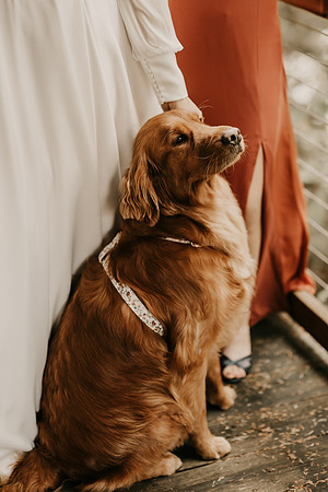 Kyle-Taylor-Salishan-Oregon-Coast-Golf-Course-Beach-Wedding (18 of 30)